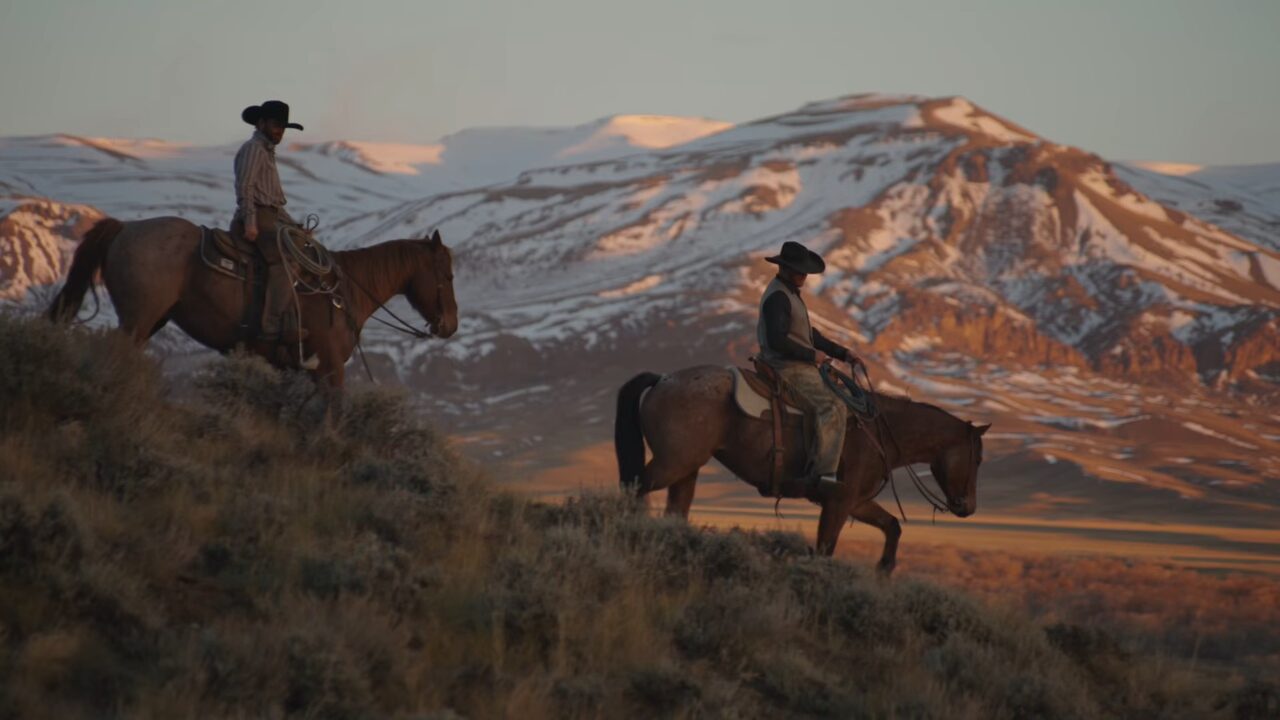 Cowboy on horseback herding cattle with snowy mountains in the background